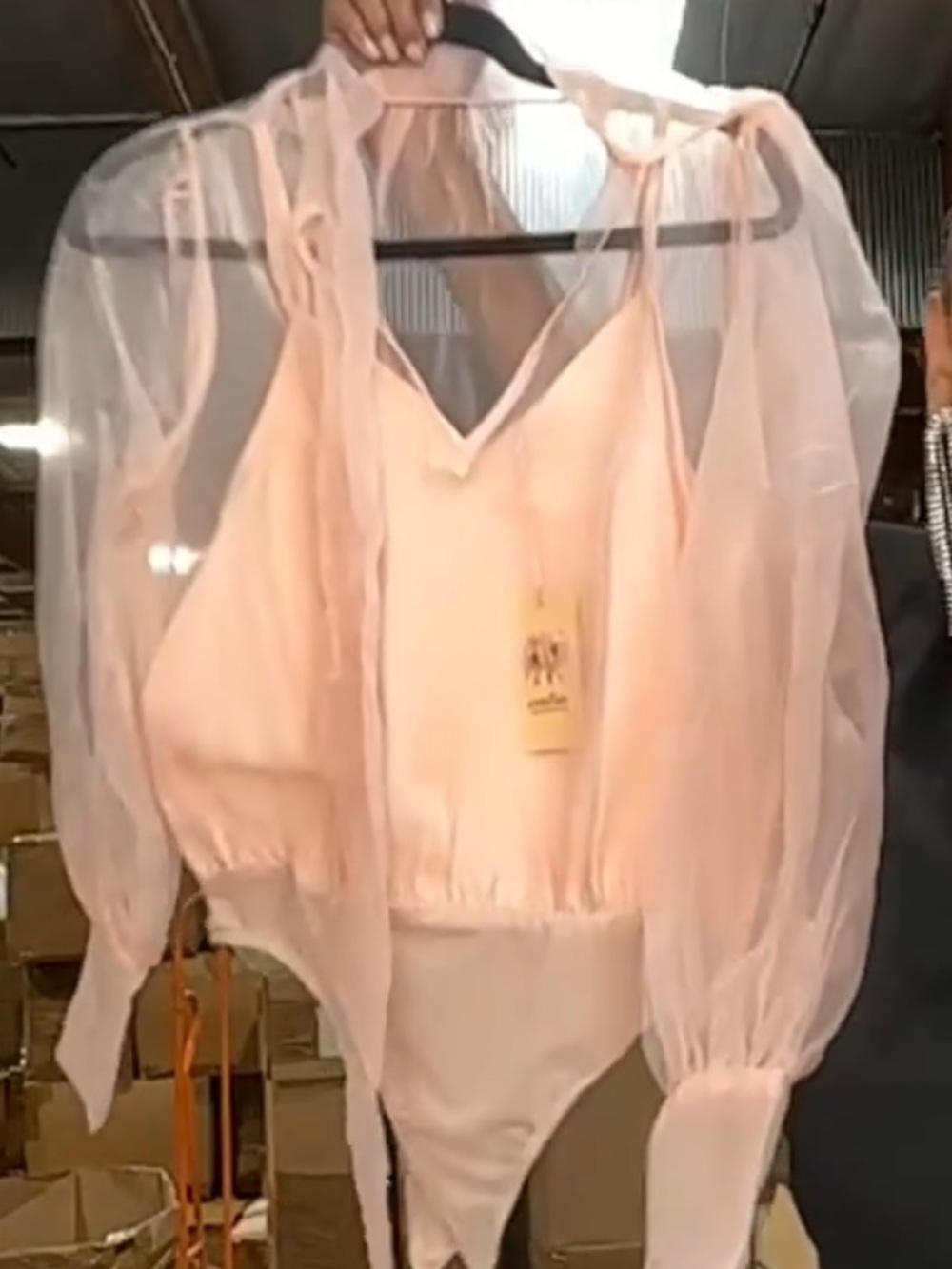 entro Pink Sheer Puff-Sleeve Bodysuit